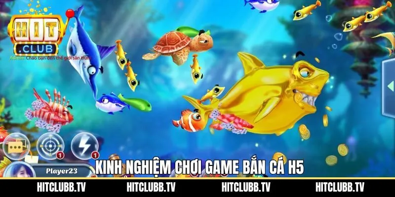 Kinh nghiệm hữu ích khi tham gia vào game săn cá H5