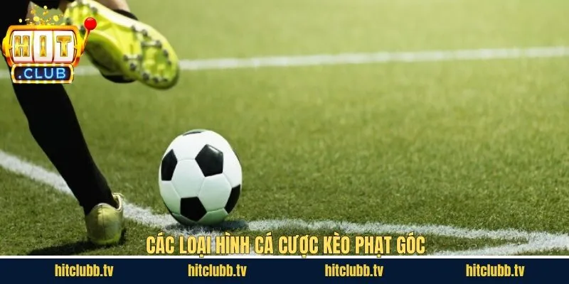 Top các kèo phạt góc được săn đón nhất