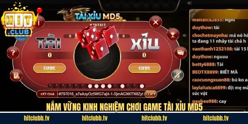 Mẹo cược tài xỉu phiên bản MD5 luôn thắng 